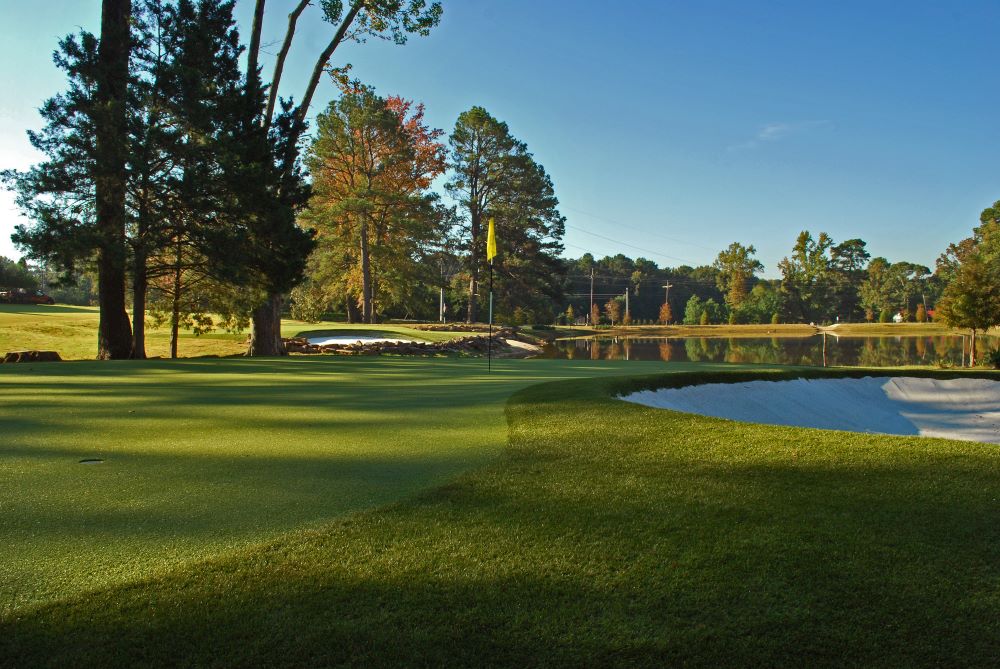 Las Vegas Artificial Turf Golf Course