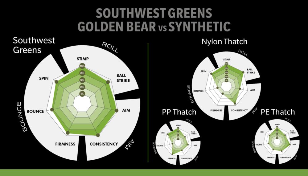 Las Vegas artificial putting green with natural surroundings